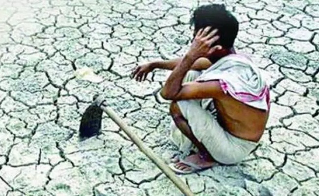 Crops Are Drying Up, Where's Rs 1 Lakh Crore, Mr Naidu?