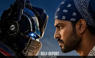 US Removes 'Mr Singh' Self-Deport Post After Backlash